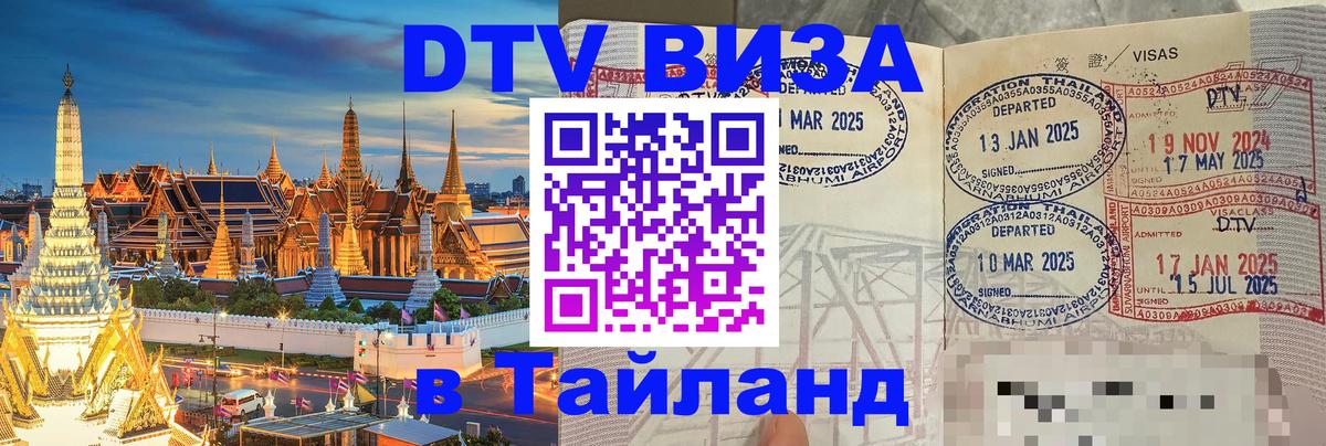 Сколько стоит DTV виза — актуальные цены, оформление даже без документов - 